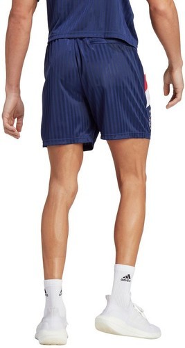 adidas Performance-Short Ajax Amsterdam Icon-1