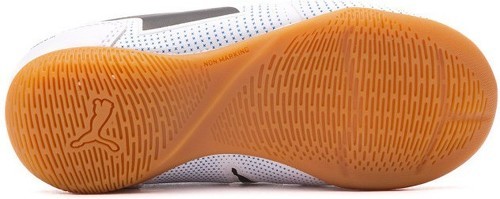 PUMA-Truco 3-2
