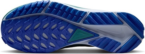 NIKE-Pegasus Trail 4-3