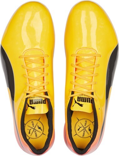 PUMA-evoSPEED Sprint 14-4
