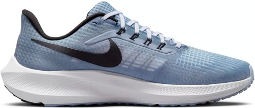 NIKE-Air Zoom Pegasus 39-2