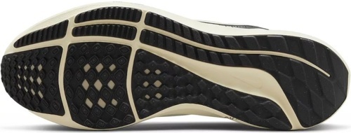 NIKE-Pegasus 39-3