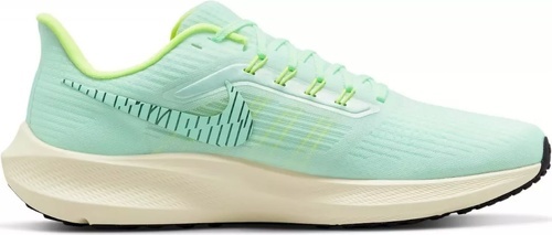 NIKE-Pegasus 39-1