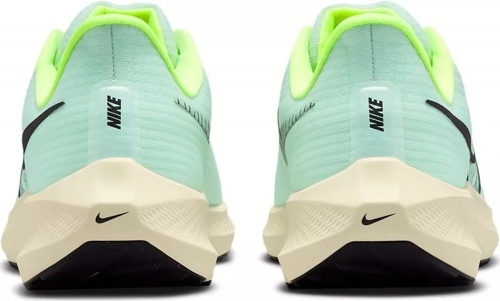 NIKE-Pegasus 39-2