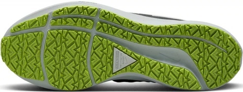 NIKE-Air Zoom Pegasus 39 Shield-1