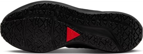 NIKE-Air Zoom Pegasus 39 Shield-2