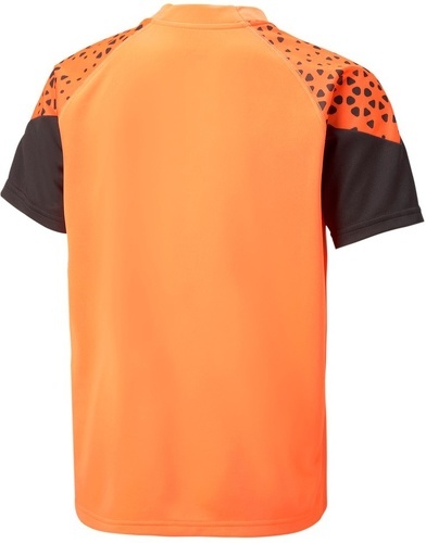 PUMA-individualCUP Training Jersey Junior-1