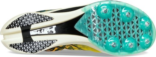 SAUCONY-Endorphin Cheetah-1