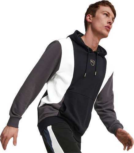 PUMA-King Top Hoody-2