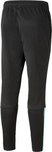 PUMA-teamLIGA Training Pants-1