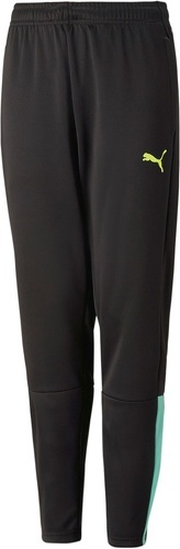 PUMA-teamLIGA Training Pants Junior-0