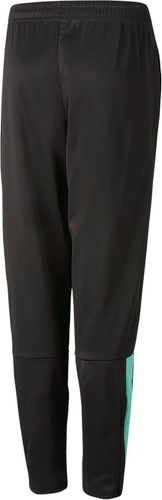 PUMA-Teamliga Training Pants-1