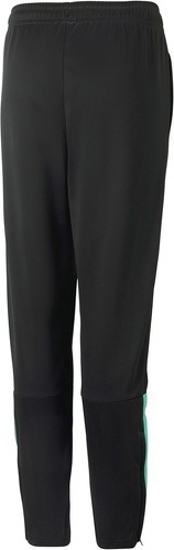 PUMA-teamLIGA Training Pants Junior-1