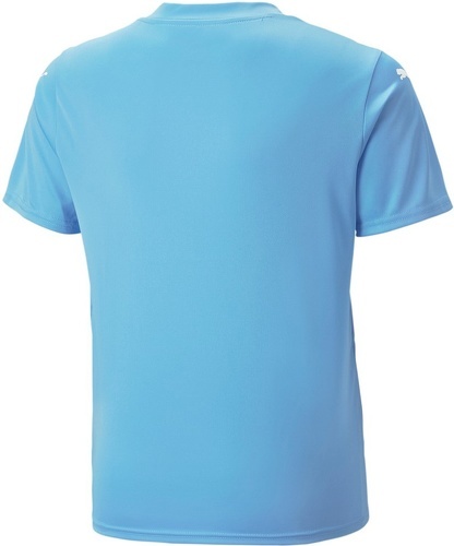 PUMA-Teamultimate-1