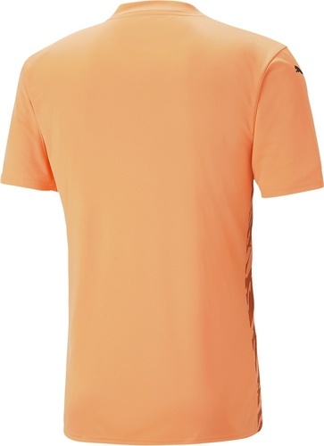 PUMA-teamULTIMATE Jersey Junior-1