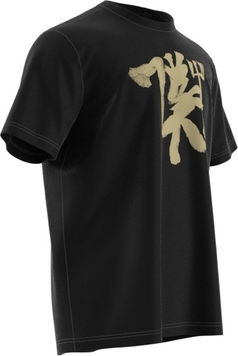 adidas Performance-T-shirt Manchester United Chinese Story-4