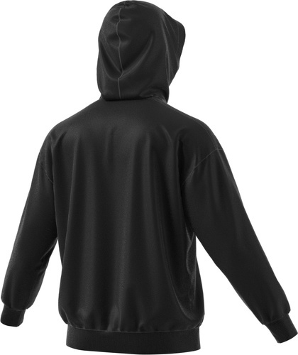 adidas Performance-Sweat-shirt à capuche Terrex Large Logo (Non genré)-2