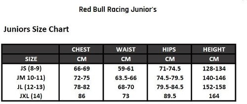 RED BULL RACING F1-Sweat À Capuche Bull Racing F1 Team Formula Officiel Formule 1-3