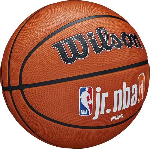 WILSON-Wilson Jr NBA Fam Logo Authentic Outdoor Ball-1