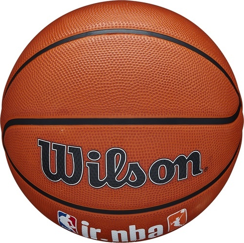 WILSON-Wilson Jr NBA Fam Logo Authentic Outdoor Ball-4