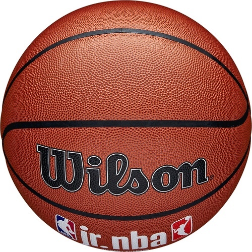 WILSON-Wilson Jr NBA Fam Logo In/Out Ball-4