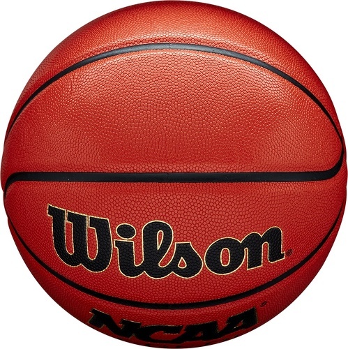 WILSON-Ballon De Ball Wilson Ncaa Legend T5-4