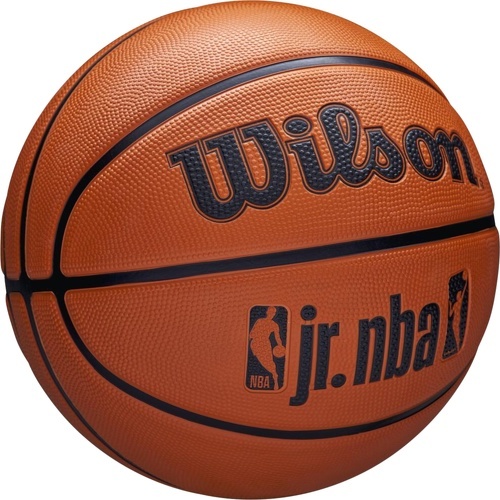 WILSON-Ballon Wilson Nba Logo-1