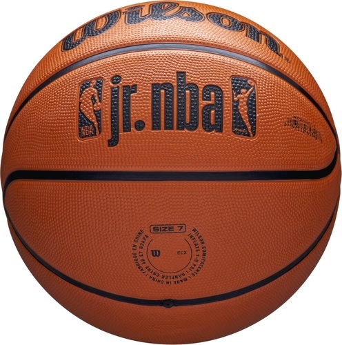 WILSON-Ballon Wilson Nba Logo-2