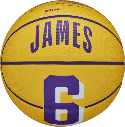 WILSON-Wilson NBA Player Icon LeBron James Mini Ball-image-1