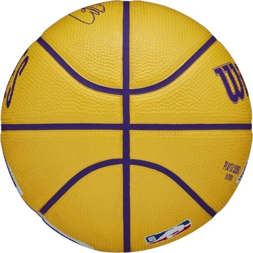 WILSON-Mini Ballon Wilson Nba Lebron James-3