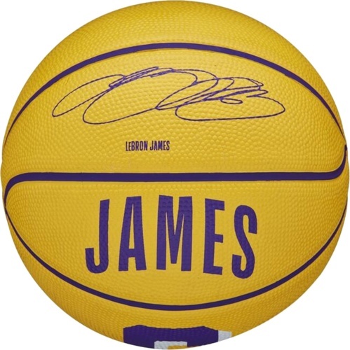 WILSON-Mini Ballon Wilson Nba Stephen Curry-3