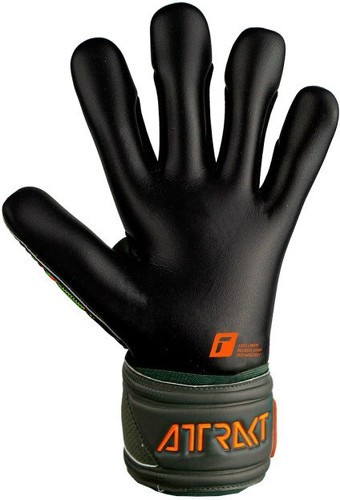 REUSCH-Reusch Attrakt Gold X-2