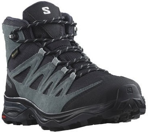 SALOMON-X Ward Leather Gore-Tex-1