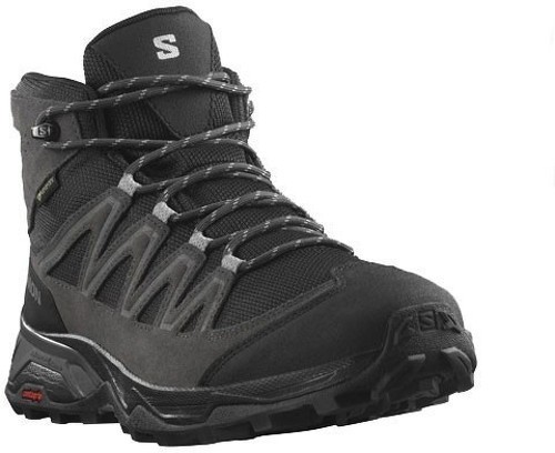 SALOMON-X Ward Leather Gore-Tex-1