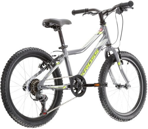 KROSS-Vélo Vtt Pour Jeunes Cyclistes Hexagon Mini 1.0 20''-1
