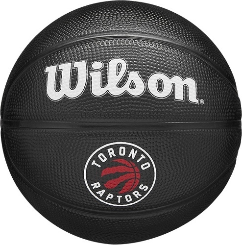 WILSON-Mini Ballon de Basketball Wilson NBA Team Tribute – Toronto Raptors-image-1