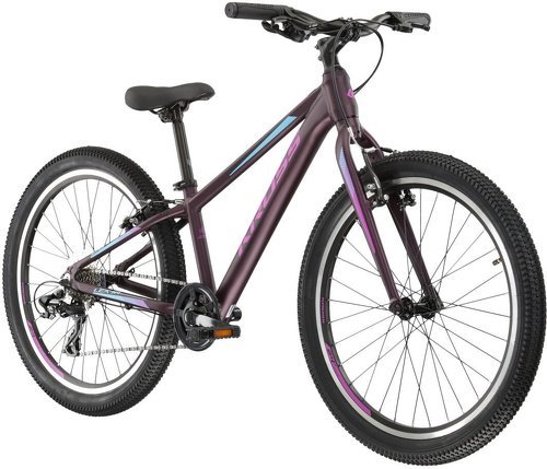 KROSS-Vélo Vtt Lea 2.0 24''-2