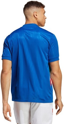 adidas Performance-Maillot Italie Icon-2