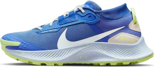 NIKE-Pegasus Trail III GTX-0