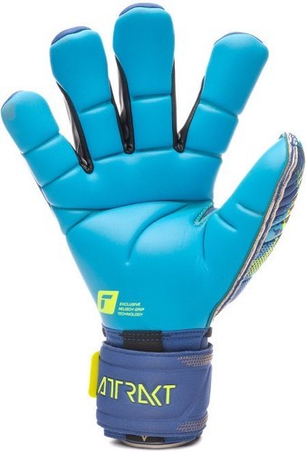 REUSCH-Reusch Attrakt Aqua Windproof Ortho Tec-2