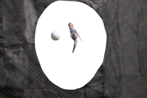 VirtuFit-Soccer Goal Pro avec mur de but - But de football - 220 x 170 cm-4
