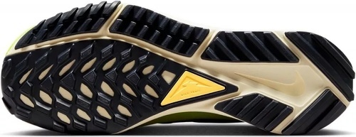 NIKE-Pegasus Trail 4 GORE-TEX-1