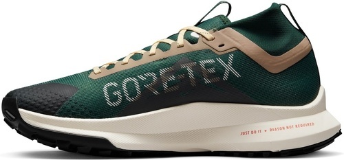 NIKE-Pegasus Trail 4 GORE-TEX-1