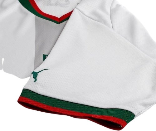 PUMA-Maglia Marocco Away Coppa Del Mondo 2022-4