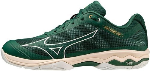 MIZUNO-Wave Exceed Light All Courts-1