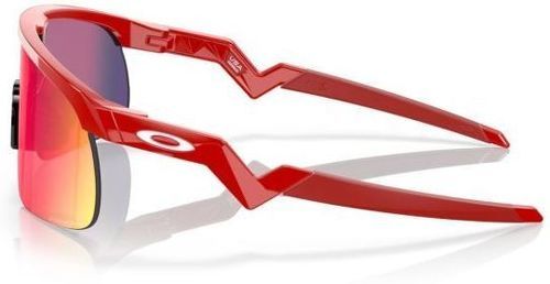 OAKLEY-Resistor (Prizm Road)-2