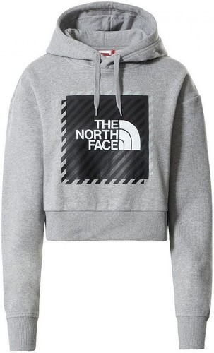 THE NORTH FACE-W Coordinates Crop Hoodie-image-1