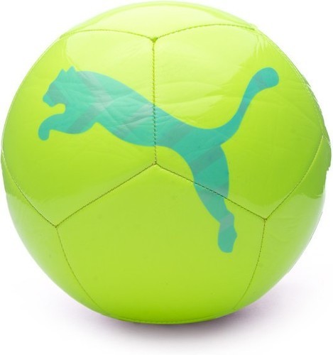 PUMA-Puma Icon-0
