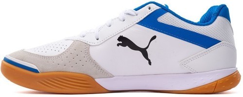 PUMA-Ibero 2-1