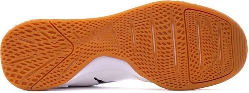 PUMA-Ibero 2-2